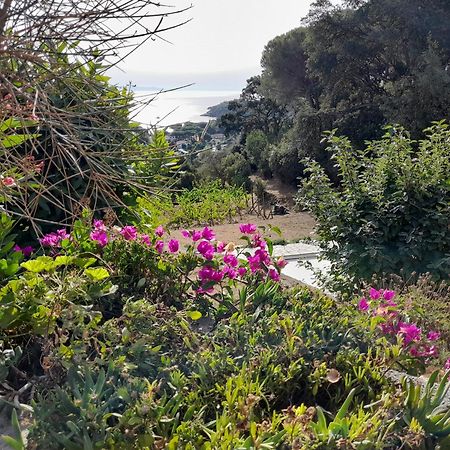 Villa Gualdo Piscina Vista Mare 카폴리베리 외부 사진
